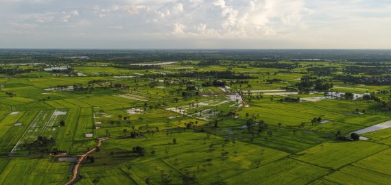 Land
