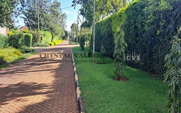 1/2 acre land at Ridgeways within Ridgeways Country Homes 1/2 acre land at Ridgeways within Ridgeways Country Homes