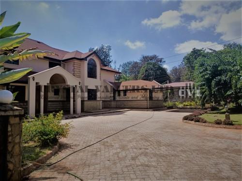 4 bedroom plus dsq villa for rent in Runda Evergreen 4 bedroom plus dsq villa for rent in Runda Evergreen