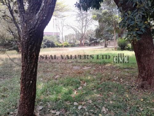 1/4 acre residential plot at Gaitumbi Estate, Kinoo 1/4 acre residential plot at Gaitumbi Estate, Kinoo
